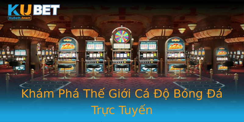 Khám Phá Thế Giới Cá Độ Bóng Đá Trực Tuyến Khám Phá Thế Giới Cá Độ Bóng Đá Trực Tuyến